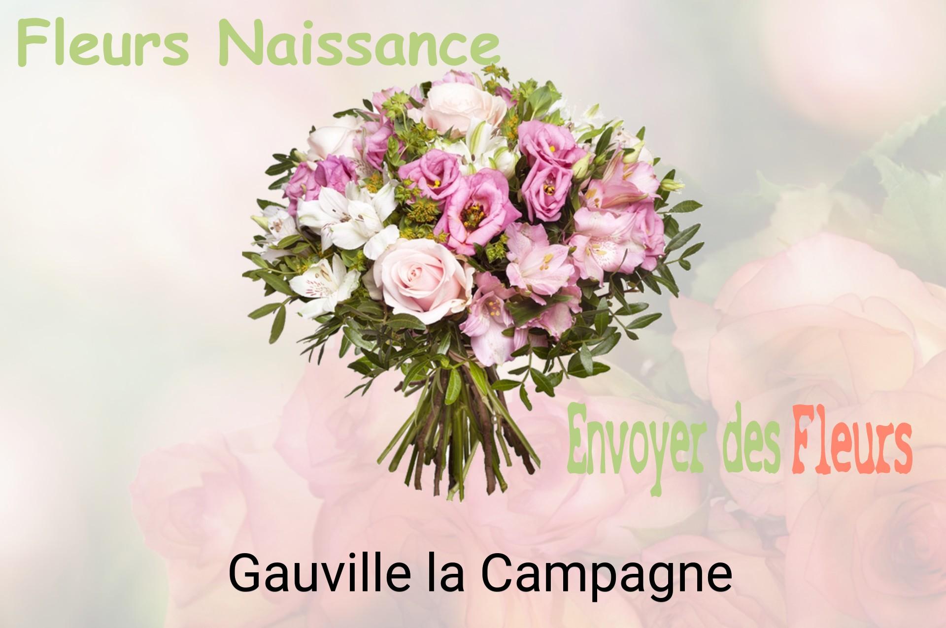 Bouquet de fleurs de naissance livré à Gauville-la-Campagne